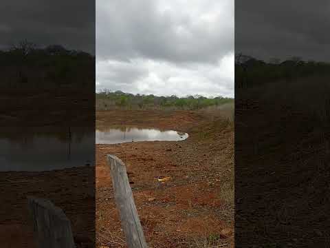 resultado das fortes chuvas ocorrida em Tauá Ceará 🌵🌧️ #paisagemnatural #nature #sitio