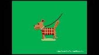 Dog Training: Stop Dog Barking Behavior