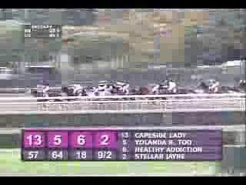 2005 Breeders Cup Distaff