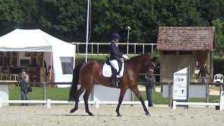Sélection australienne des Championnats du Monde Jeunes Chevaux
