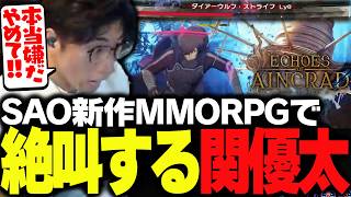 新作SAO･MMORPGのプロローグで一人デスゲームに怯える関優太【Echoes of Aincrad】
