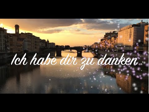 Ich habe dir zu danken - Cover Original Zillertaler Schürzenjäger