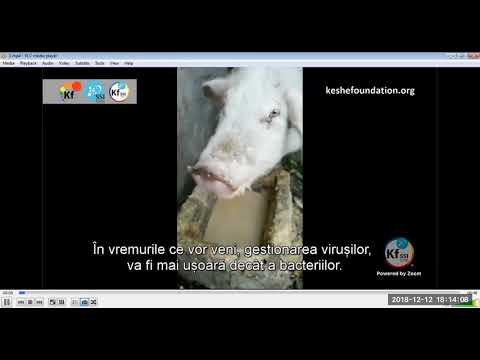 2018 12 12 PM Public Teaching in Romanian - Cursuri publice în română