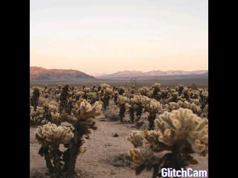 Mindenkit elvagyunk  Bagdi Enikő