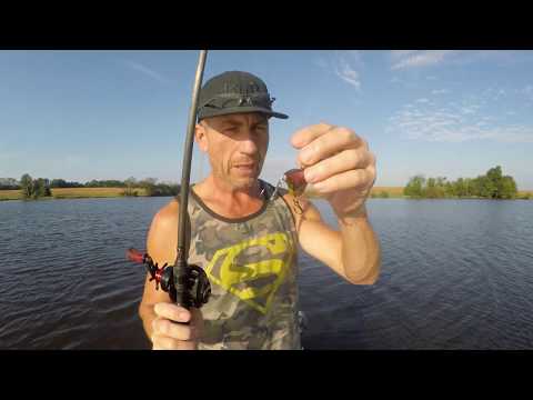 Bass n' Bonsai One Bait One Bass Booyah Hard knocker lipless crankbait