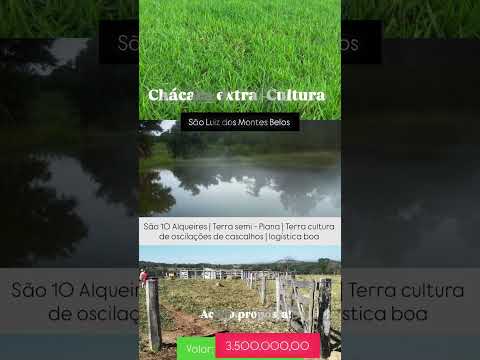 10 Alqueires em São Luis de Montes Belos - Go | whatsapp 62 99373-6407