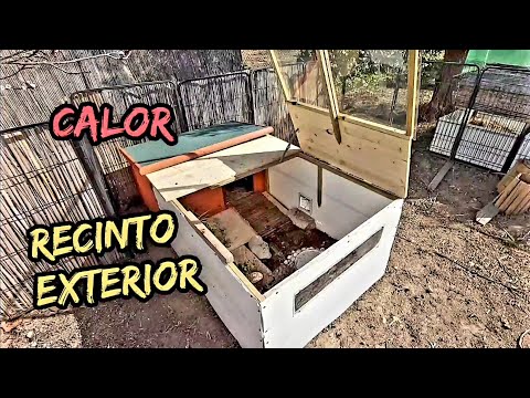 montaje caseta exterior con casa con calor para tortuga que no hiberne pardalis sulcata morrocoy etc