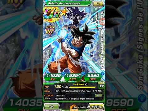 TEAM DIVINE vs GOGETA SSJ4