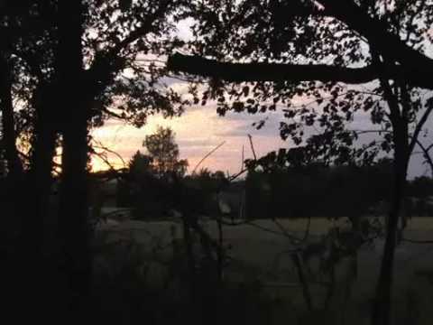 "Vodka" - The Teenagers