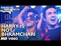 Harry Is Not A Brahmachari Lyrics - Shaadi Ke Side Effects