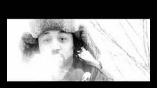 C-Rayz Walz - Whodafuckareyou