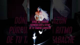 Bat For Lashes - Widow&#39;s Peak - Subtitulos en Español