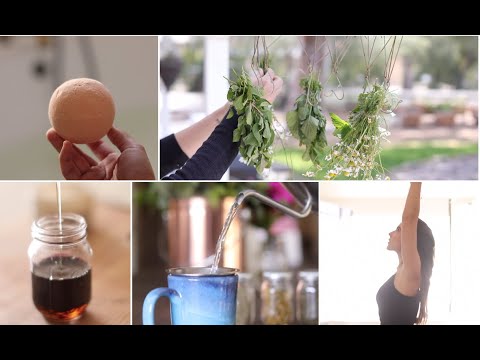 download lagu mp3 mp4 Elderberry Remedies, download lagu Elderberry Remedies gratis, unduh video klip Elderberry Remedies