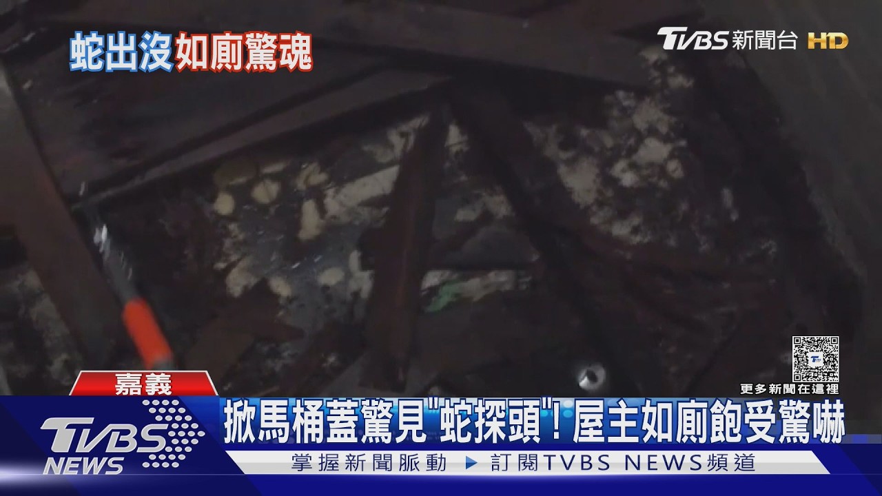 影音/馬桶裡有蛇! 如廁掀蓋時驚見「探頭」 屋主驚嚇急對外求援