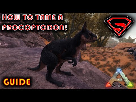 ARK HOW TO TAME A PROCOPTODON 2020 - EVERYTHING YOU NEED TO KNOW ABOUT TAMING A PROCOPTODON