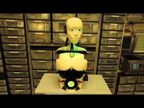 Rentaprinta's First Real Video Of "Hansi" - Inmoov With Working Head And Torso