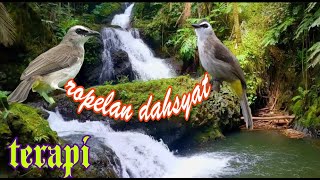 Download lagu trucukan ropelan maut  suara air mengalir alami mp3