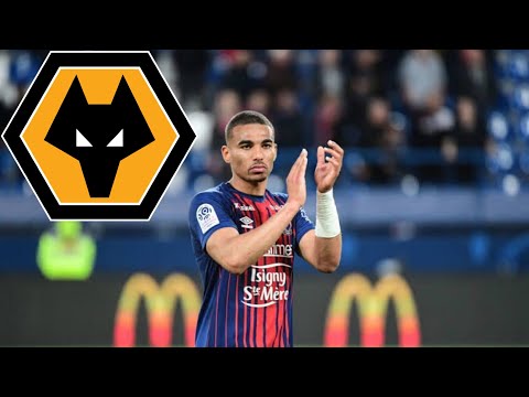 This Is Why Wolves Want Alexander Djiku