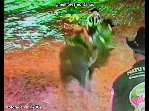 Cosme Antonio Filho x Maestro - Rodeio de Colorado 2002 #shorts #rodeio #rodeo