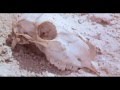 Alison Moyet - Love Resurrection (Official Video ...