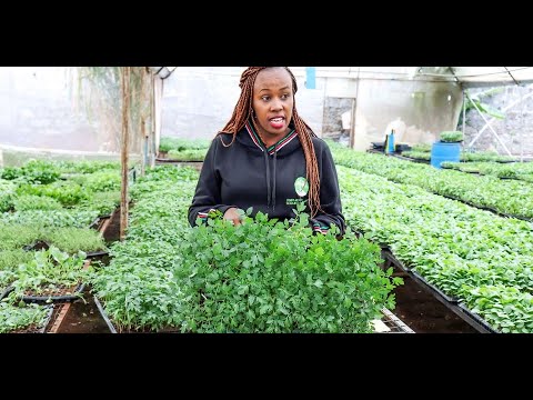 Passion for sowing seeds taking Carolyne to high places