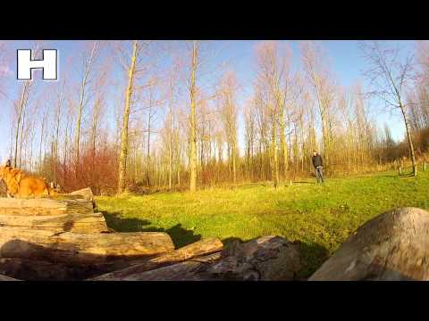 Sunday afternoon walk