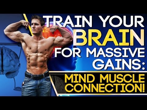 Muscular Strenght Title