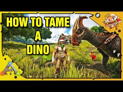 How To Tame A Dino - ARK Survival Evolved