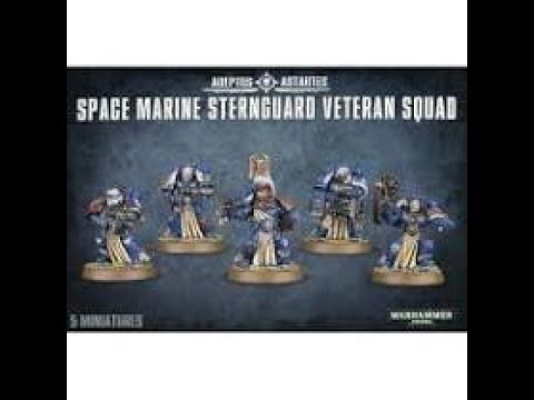 STERNGUARD VETERAN SQUAD
