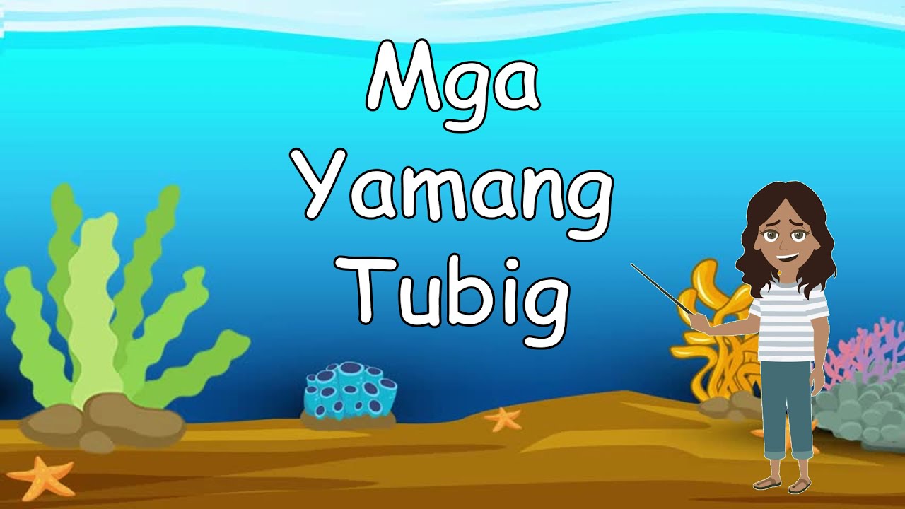 Putar video Mga Yamang Tubig | Teacher Bunny sekarang Mga Yamang Tubig | Teacher Bunny