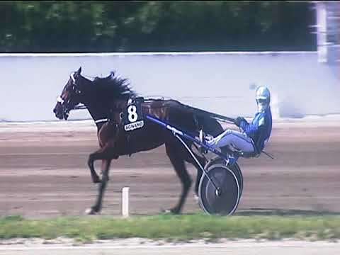 Trotto 12/05/2019 - 6ª corsa