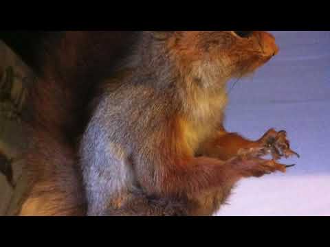 NORWAY IN FOUR SEASONS