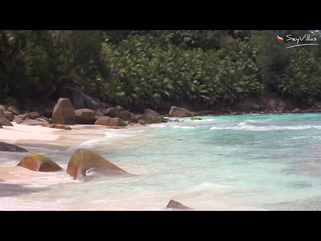 Video - Image - Infinite sfumature d'azzurro