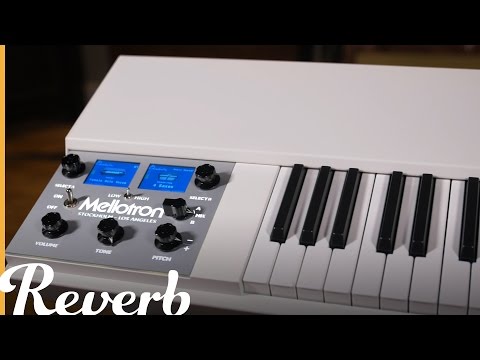 Mellotron M4000D Mini | Reverb Demo Video