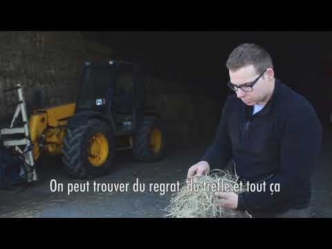 download lagu mp3 mp4 Qualit Nutritionnelle, download lagu Qualit Nutritionnelle gratis, unduh video klip Qualit Nutritionnelle