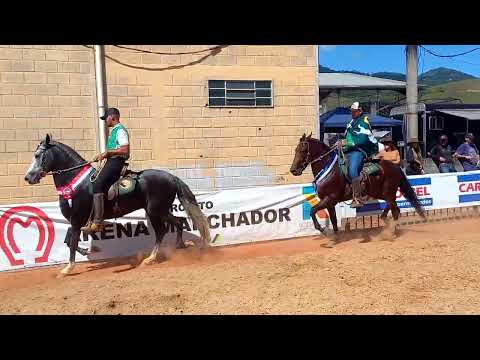 Cavalo Júnior de Marcha Batida - II COPA DE DOM VIÇOSO-MG / 2024