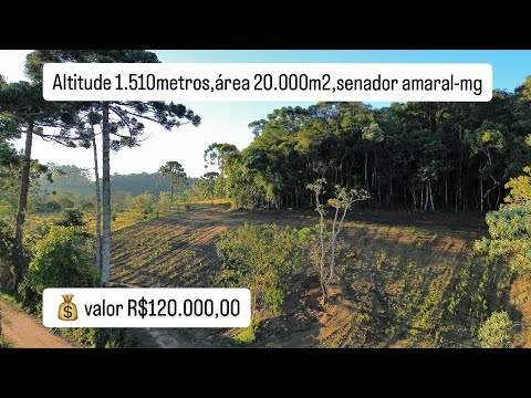 Altitude 1.510 metros senador Amaral-mg valor 120 mil reias.