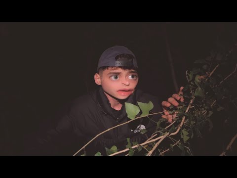 PIERDUȚI ÎN SPAȚIU - PĂDUREA BÂNTUITĂ S1 Ep3