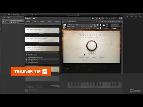 Symphony Essentials 101: Symphony Essentials Explored - 2. A Tour of the Instruments