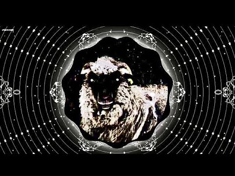 Acid&vice Vs Acid Wave - Inauspicious