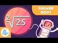 THE SQUARE ROOT What Is The Square Root ‍ Math For Kids
