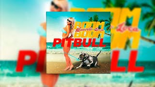 PITBULL - MUEVELO LOCA BOOM BOOM (CRISTIAN GIL MIX 2018)