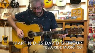 Video thumbnail for "Fearless" on a Martin D-35 David Gilmour by Telluride Music Co.