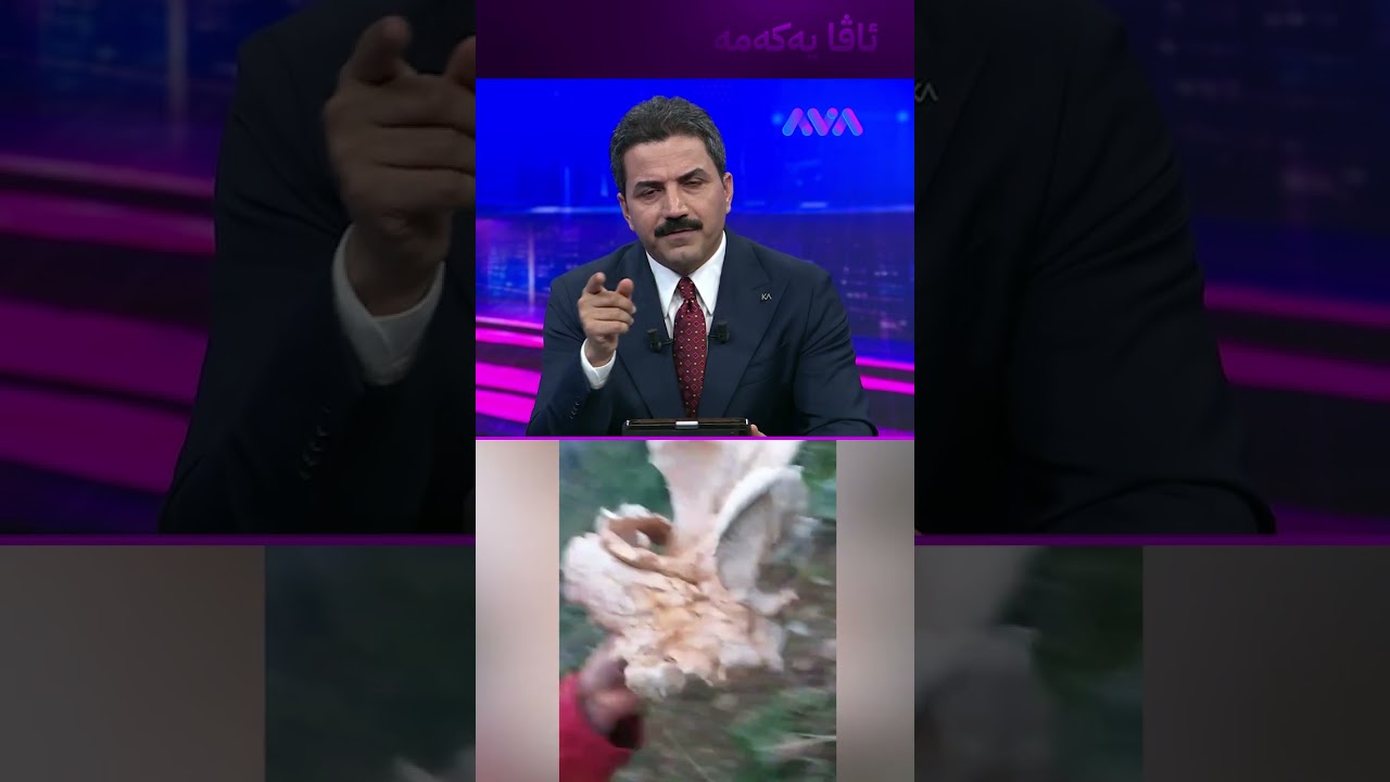 ڤیدیۆ | بەهۆی قارچکی کێوی لە ڕۆژهەڵات 31 کەس ژەهراوی بوون