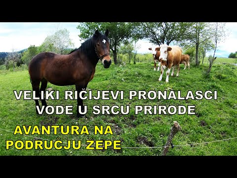 PRONALAŽENJE VODE NA PODRUČJU ŽEPE - 2 BUNARA ZA 2 BRATA