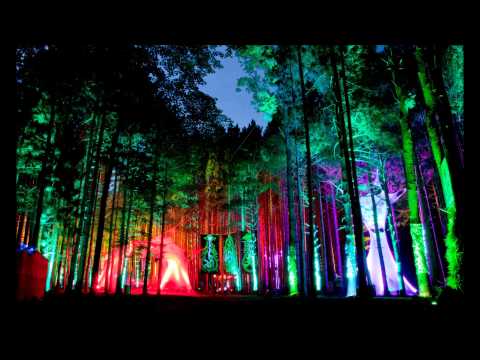 Whiptongue - Invisible Residents