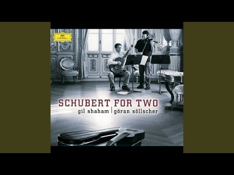 Schubert: Sonata For Arpeggione And Piano In A Minor, D.821 - 1. Allegro moderato