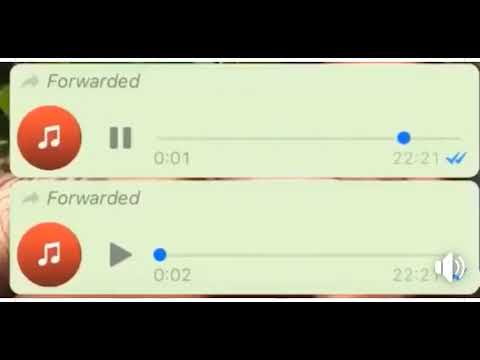 Aqui choveu e repaganlejo