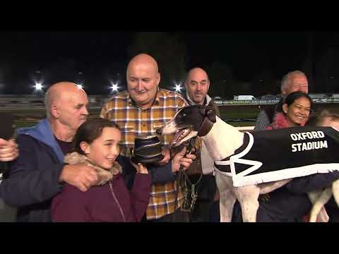 2022 RPGTV Cowley Puppy Collar Final - Fromposttopillar