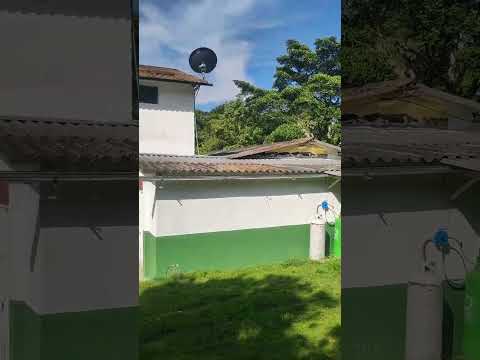 VENDO finca campestre en anapoima cundinamarca Colombia sector patio bonito $ 580-millones 